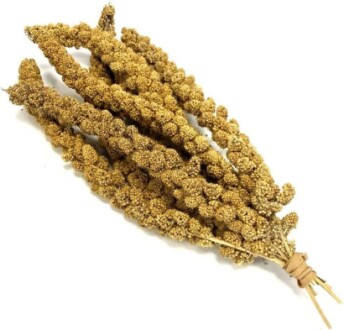 Millet Sprays x 200g (approx 5-8 sprays)