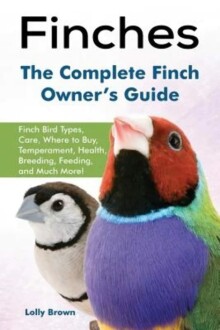 The Complete Finch Owner’s Guide