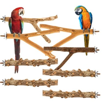 8 Pcs Bird Perches Parrot Stand