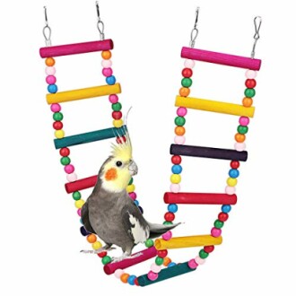 ASOCEA Bird Parrot Ladders