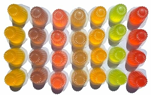 24 Fruit Cups Jelly Treats for Large and Small Parrots