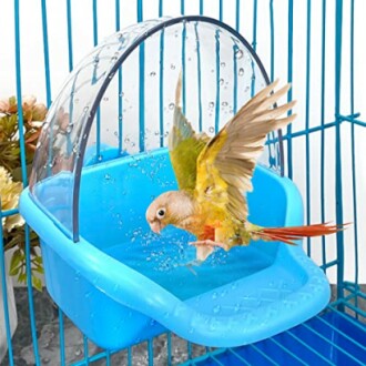 Bird Bath Tub