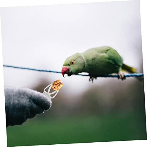 Didiseaon bird vegetable tongs