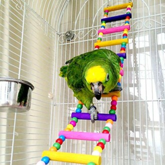 Large Bird Parrot Toys Ladders